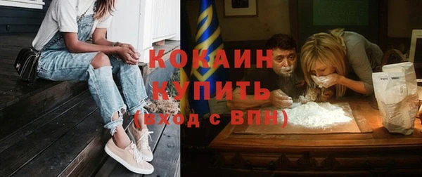 гашик Липки