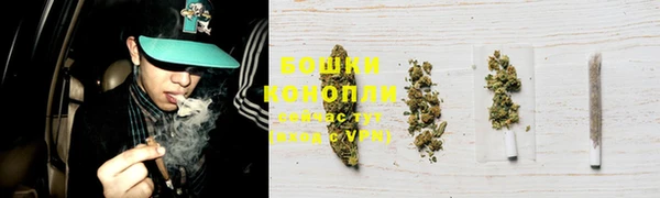 гидра Ладушкин