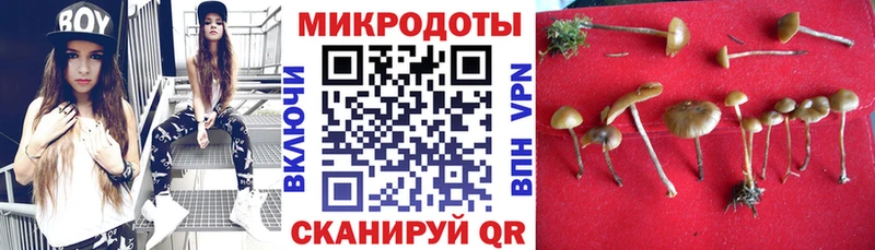 Галлюциногенные грибы прущие грибы  Палласовка 